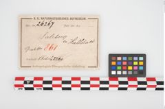 Etikett zu Bronzetutulusscheibenfibel (NHMW-PRAE-026267)